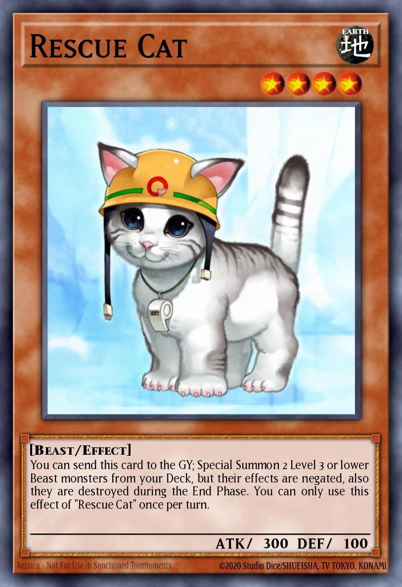 [DR3-EN153] Rescue Cat