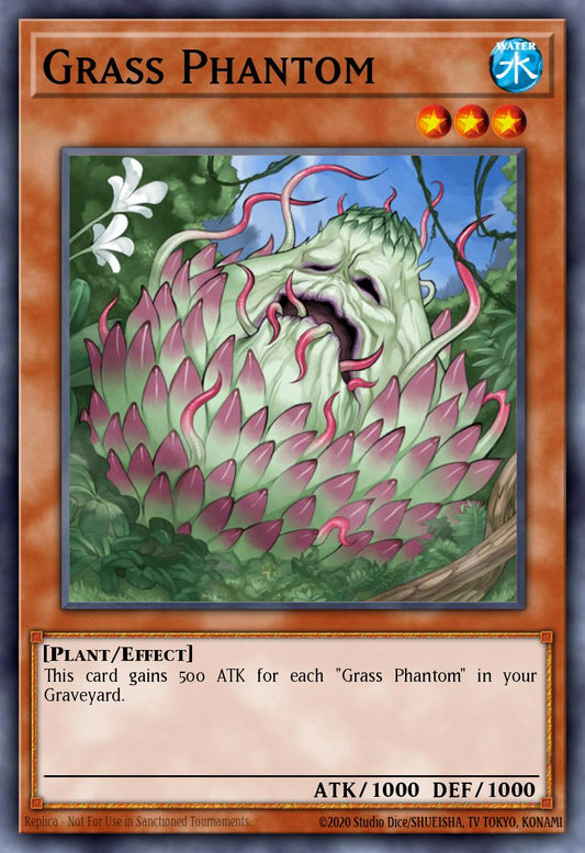 [DR04-EN151] Grass Phantom