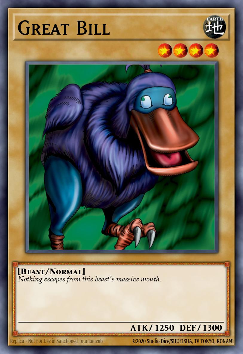 [WP11-EN006] Great Bill