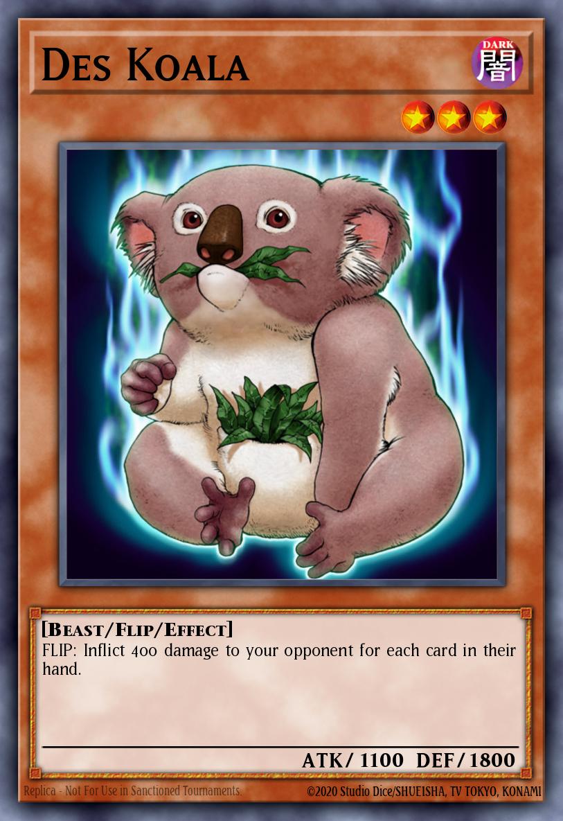 [5DS2-EN011] Des Koala