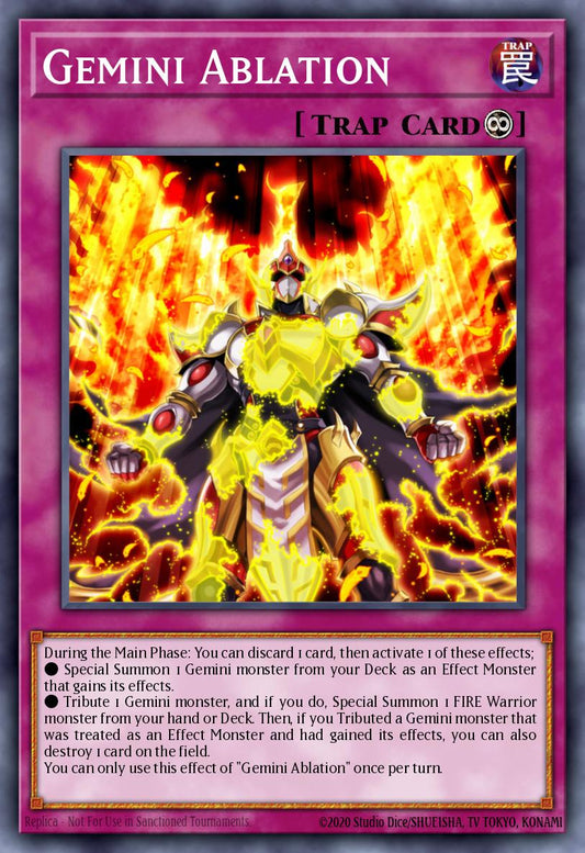 [TOCH-EN019] Gemini Ablation