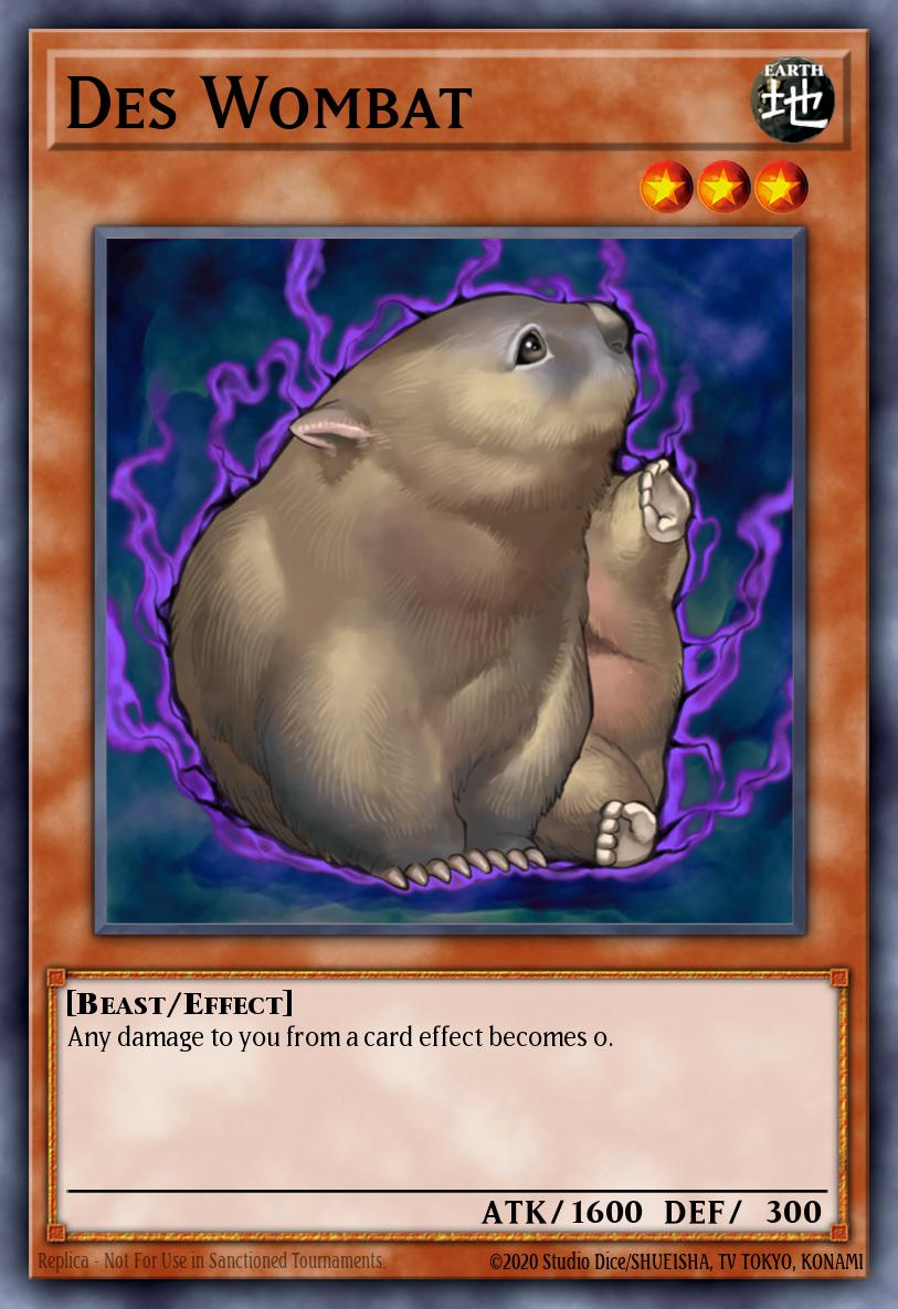 [DR3-EN211] Des Wombat