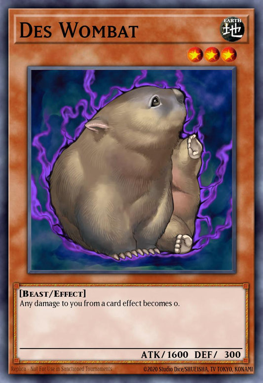 [DR3-EN211] Des Wombat